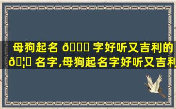 母狗起名 🍁 字好听又吉利的 🦅 名字,母狗起名字好听又吉利的名字有哪些